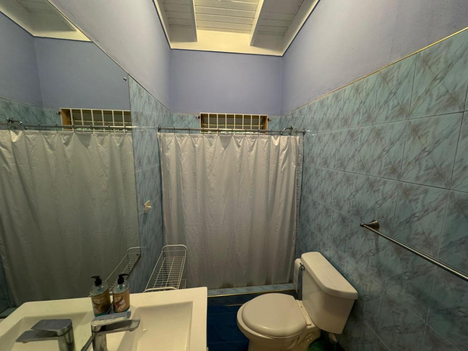 Shalom Suite 2, Manor Park Kingston Exterior photo